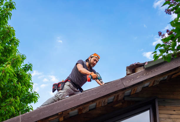 Best Roof Leak Repair  in Lady Lake, FL